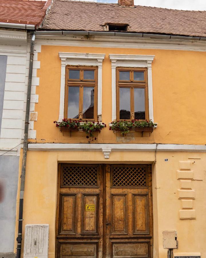World Studio Sibiu Eksteriør billede
